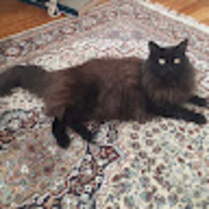 Meet your Posher, Madeleine